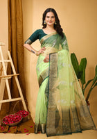 Organza Saree Light Green 