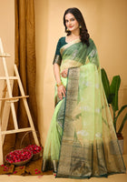 Organza Saree Light Green 