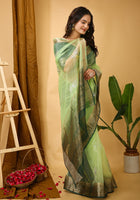 Organza Saree Light Green 