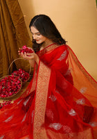 Organza Saree Red