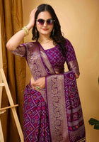 Wine Dola Silk Saree